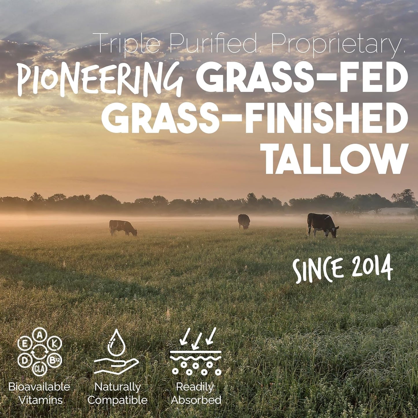 BALM OF GILEAD Tea Tree Balm - 2 fl oz Foot Cream with Tea Tree and Manuka Oil - Intensive Moisture for Itchy Feet, Eczema, Rashes & Dry Skin - Pure Balm That Softens Skin Irritations