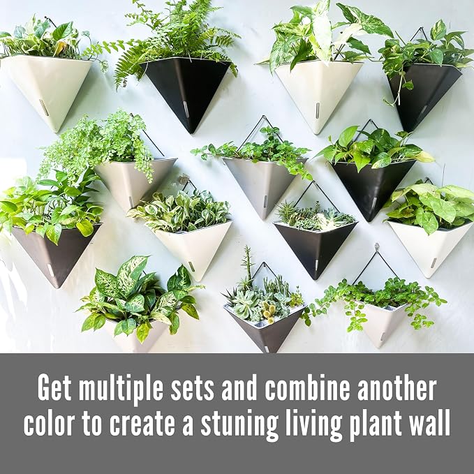 LaLaGreen Wall Planters - Image 6