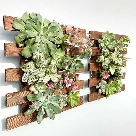 ShopLaLa Wall Planter by ShopLaLa