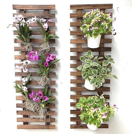 ShopLaLa Wall Planter – Hanging Planter by ShopLaLa