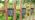 DenicMic Solar Wall Lights Outdoor Wall Sconce Fence Lights Solar Powered - Image 7